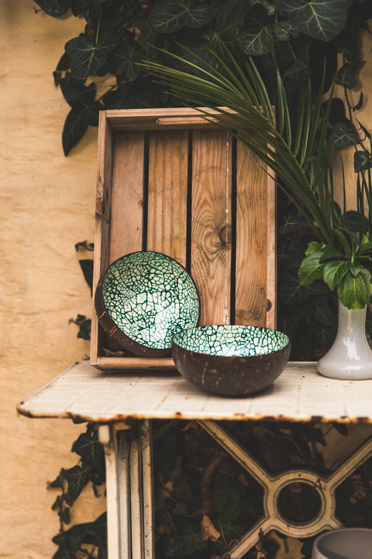 groene kokosnootbowls