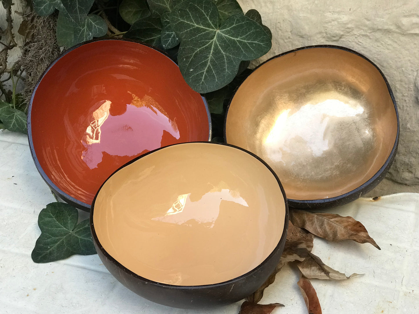 natuurlijke kokosnootpotjes